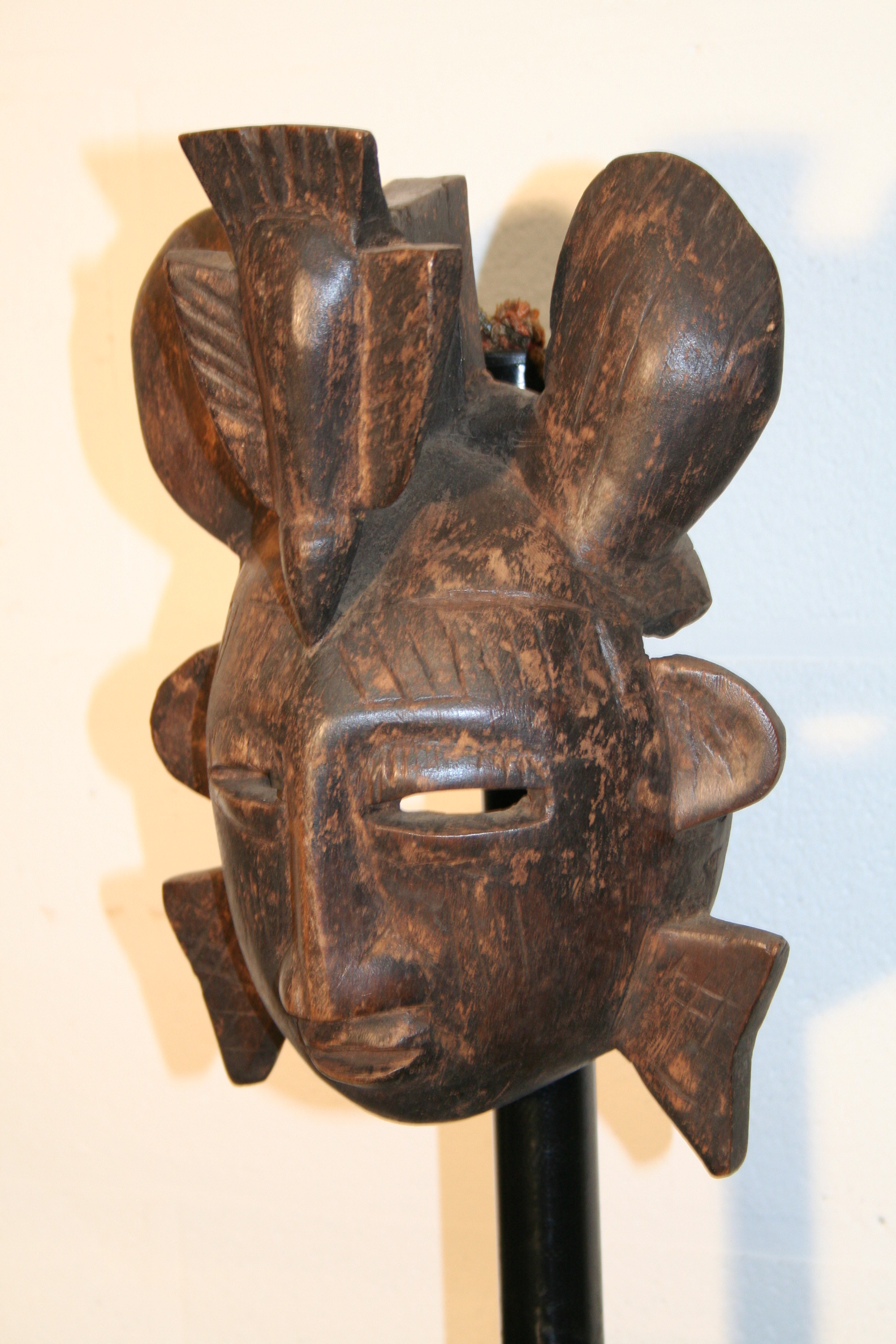 senoufo(masque), d`afrique : côte d